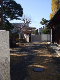保養地の庭園 施工前