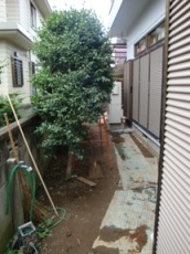 個人邸ウッドフェンス 施工前