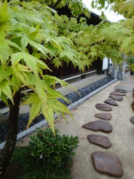 矢口造園が手がけた庭園の飛び石と植栽